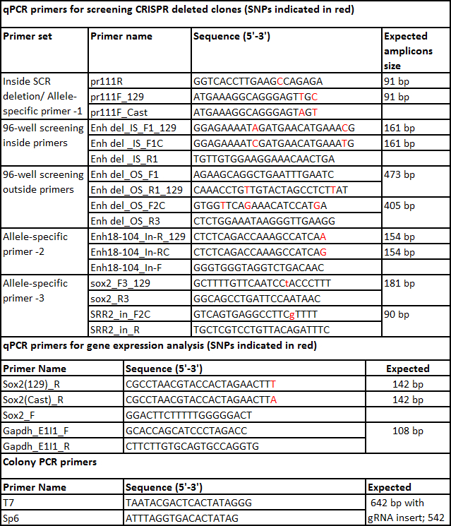 figure-results-7 qPCR primer table for CRISPR screening and gene expression analysis; SNPs marked in red; amplicon sizes.