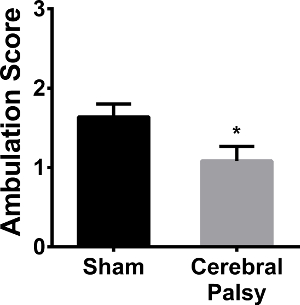 Bar graph comparing ambulation scores; Sham vs. Cerebral Palsy, significant difference marked.