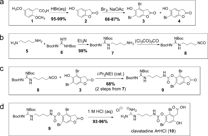 Organic synthesis pathway diagram for clavatadine A; reaction yields and reagents detailed.