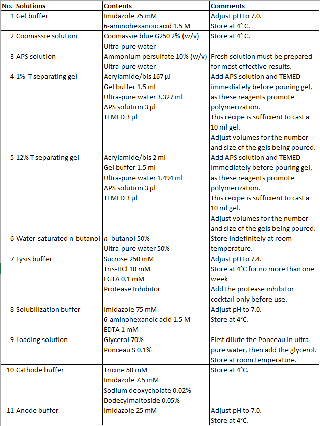 PAGE setup for gel electrophoresis listing solutions, contents, and preparation comments in a table.