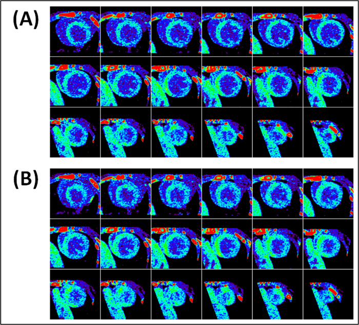 Fluorescence imaging diagram showing sequential cross-section analysis for tissue study.