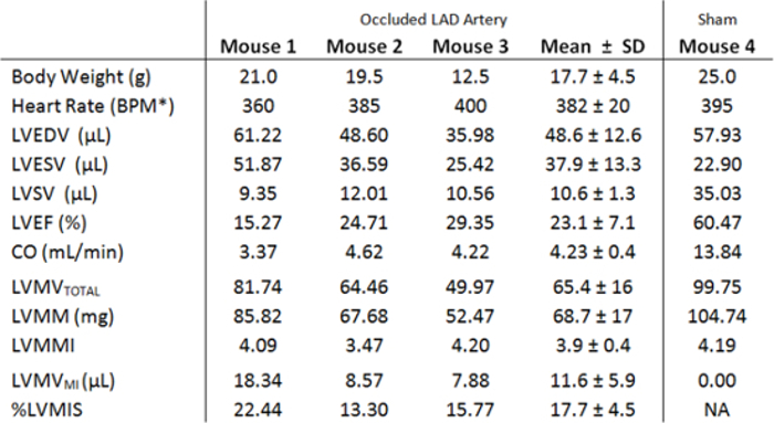 Cardiac function data table; occluded LAD artery vs. sham; includes LVEDV, LVEF, CO; mouse study.