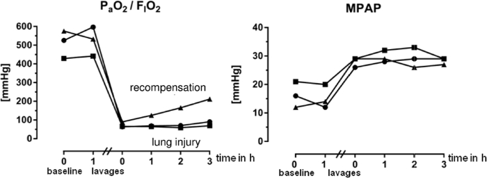 PaO2/FiO2, MPAP trends; lung injury, recompensation; line graphs with time axis, mmHg scale.