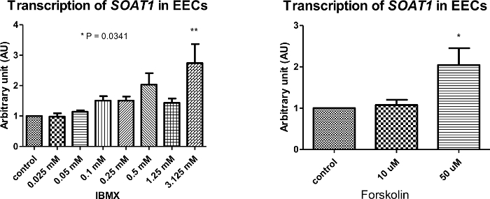 figure-results-4 figure-results-4