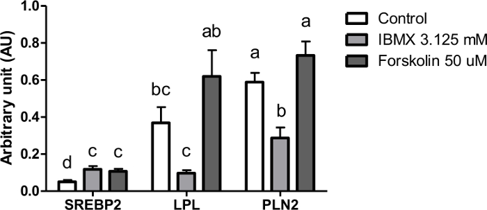 figure-results-5 figure-results-5