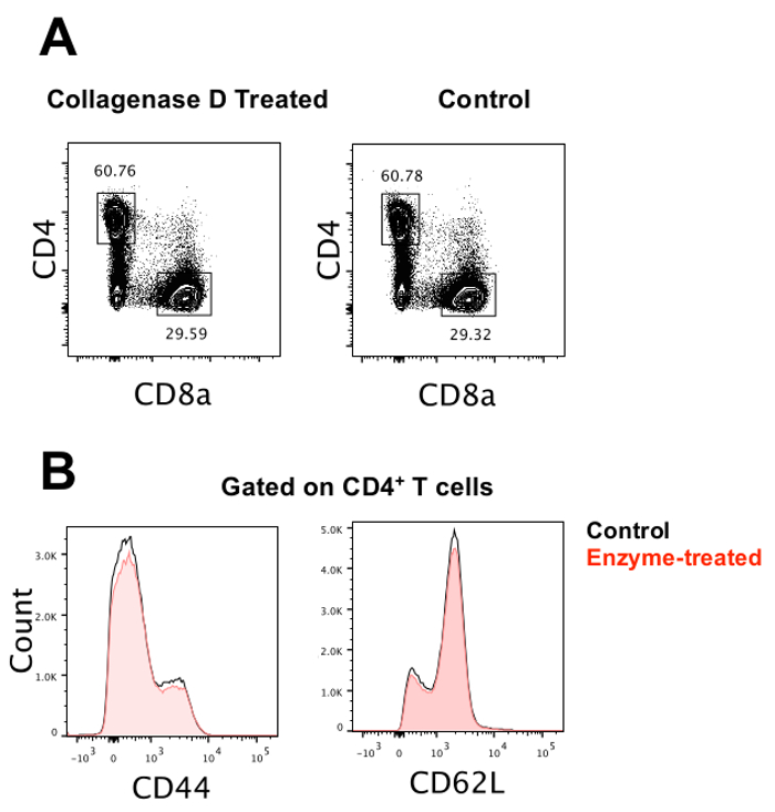 figure-results-1 Flow cytometry, CD4/CD8 T cells; histograms display enzyme vs. control, gated on CD4+ T cells.
