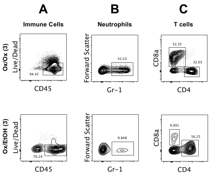figure-results-2 Flow cytometry analysis of immune cells; scatter plots of CD45, Gr-1, CD4, CD8a; live/dead assay.