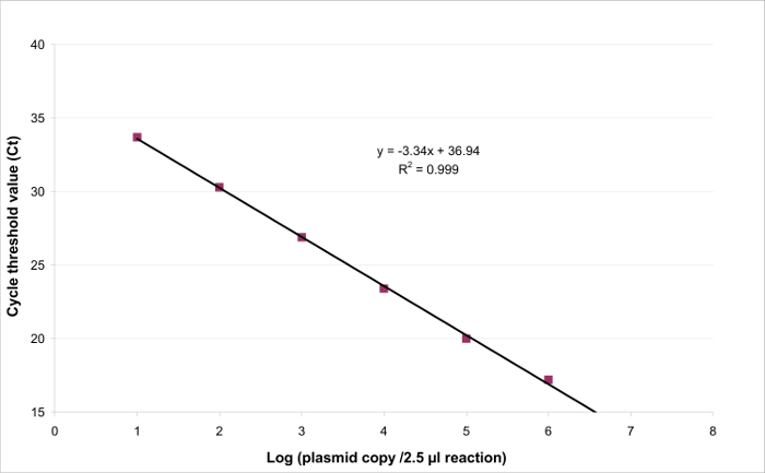 figure-results-3 גרף כימות PCR, סף מחזור לעומת עותק פלסמיד; משוואת מגמה ליניארית כלולה.