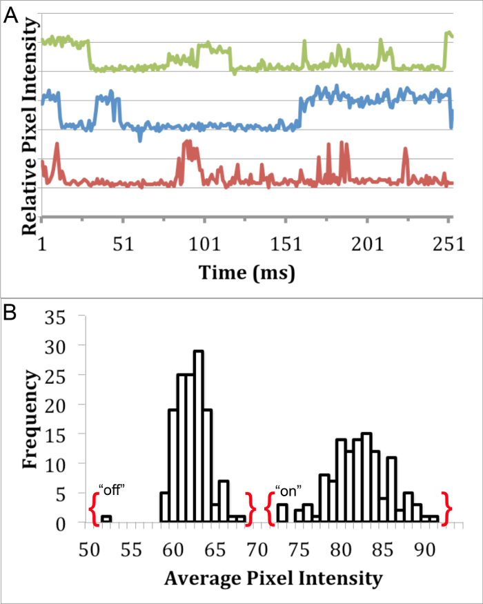 figure-results-3 Time-resolved pixel intensity analysis; Line graphs and histogram depict relative intensity over time.