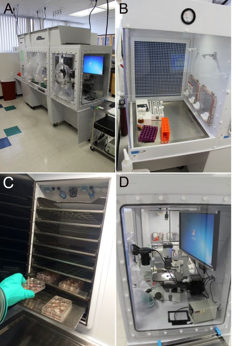 Laboratory biosafety cabinets, decontamination chamber, cryogenic storage, microscopy unit.