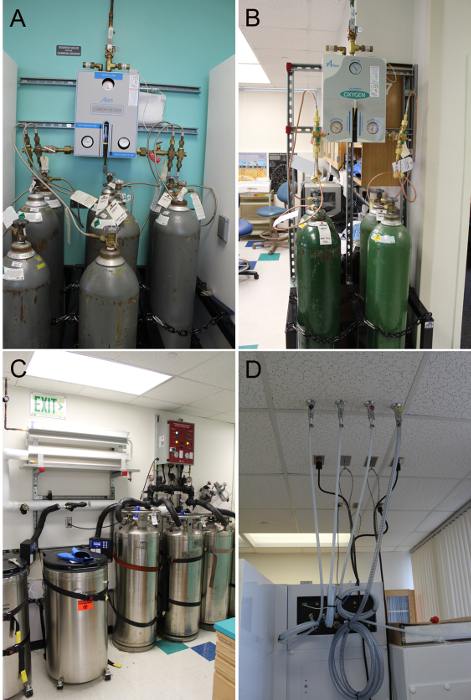 Gas cylinder setups for laboratory experiments, showing pressurization systems and safety configurations.
