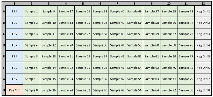 figure-protocol-1