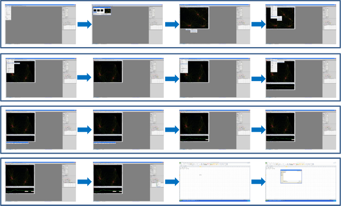 Image processing workflow, image-editing software tutorial, step-by-step digital retouching.