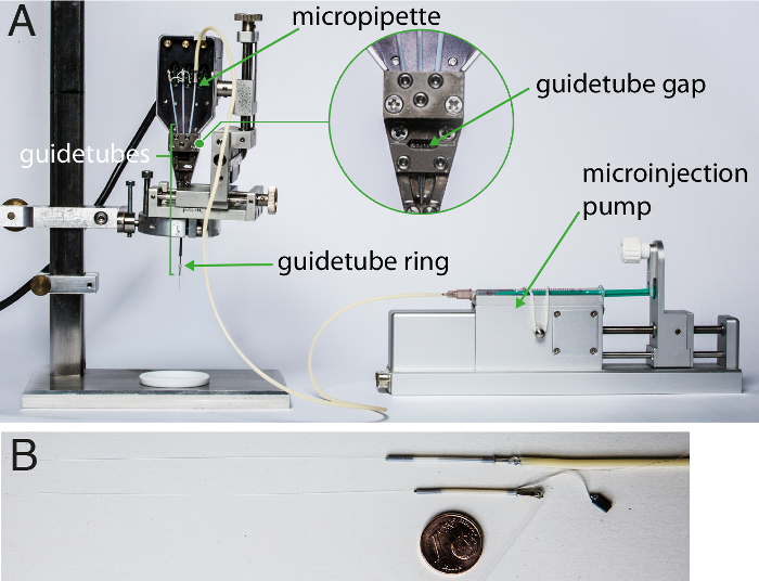 figure-results-1 Micropipette microinjection setup diagram; guidetubes, micropump for precise biological injection.