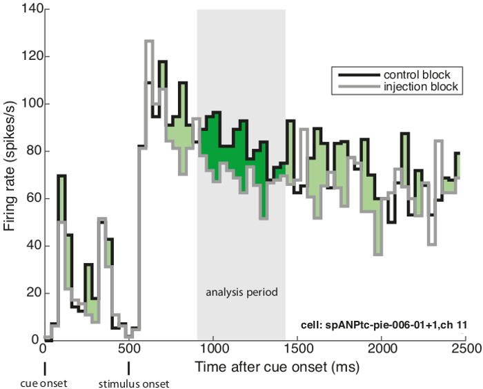 figure-results-3 Neural firing rate graph; control vs injection block; time post-cue; analysis period highlighted.