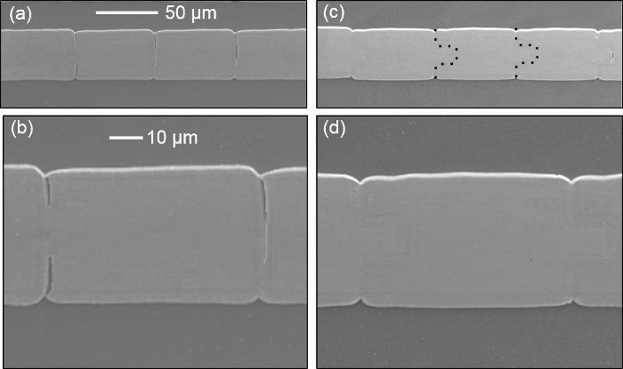 Microstructure analysis, electron microscopy images, showcasing micro-scale surface morphology, 10-50 μm scale.