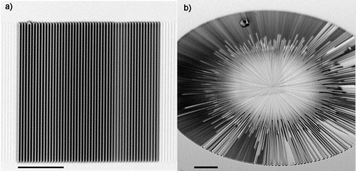 figure-results-2 Diffraction pattern, microscopy images showing structural arrangement, pattern analysis, and symmetry.