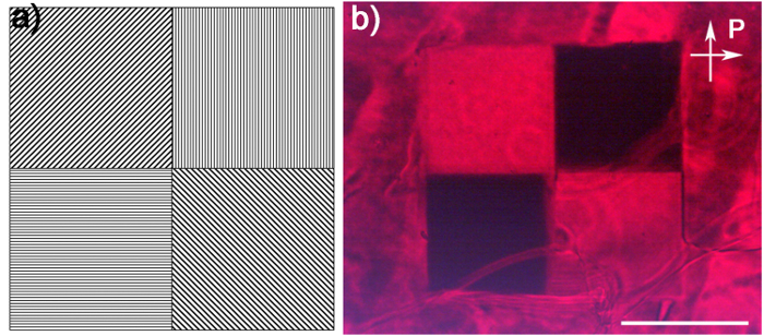 figure-results-3 Optical microscopy image and diagram of polarized light study in crystal structure analysis.
