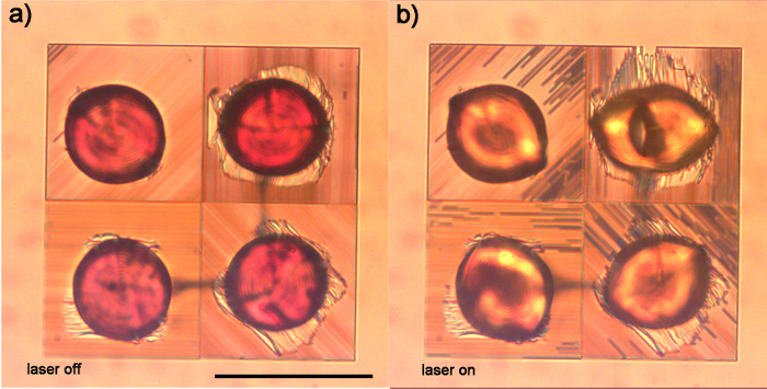figure-results-6 Microscopy image; laser effects on material sample; optical excitation; comparative analysis.