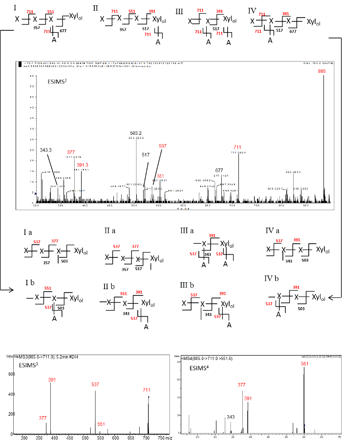 figure-results-3 Mass spectrometry analysis; ESIMS diagram; structural formulae and fragmentation patterns; spectral data.