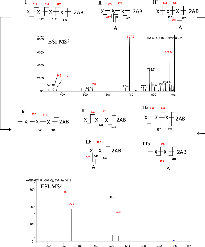figure-results-4 ESI-MS² and ESI-MS³ spectra with fragmentation pattern diagram, mass-to-charge (m/z) analysis.