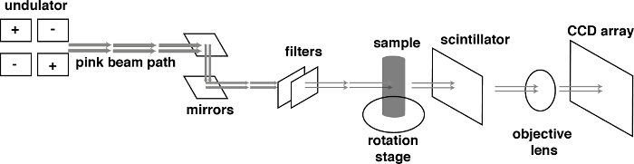 figure-results-3 Synchrotron beamline diagram; X-ray imaging setup with undulator, mirrors, filters, CCD array.