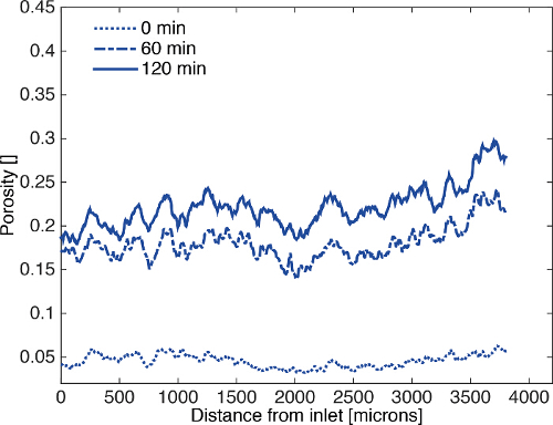 figure-results-8 Porosity vs. distance graph; inlet study at 0, 60, 120 min; experimental fluid dynamics analysis.