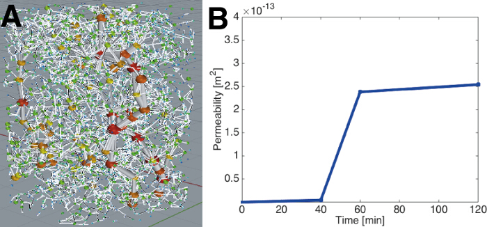 figure-results-9 Permeability analysis: molecular simulation diagram, permeability vs. time graph; fluid dynamics.