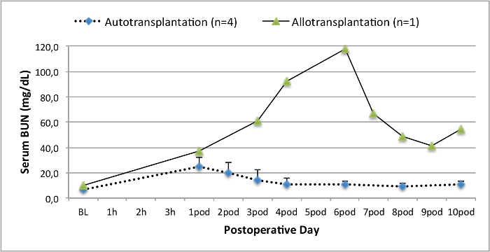 Serum BUN levels graph; autotransplantation vs allotransplantation post-op days; data comparison.
