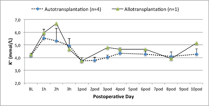 Postoperative serum potassium (K⁺) levels graph comparing autotransplantation vs. allotransplantation.