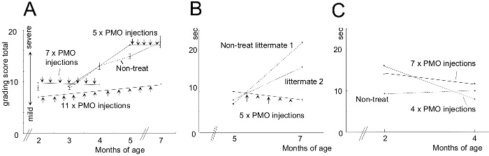 figure-results-12 Gene therapy efficacy graph, PMO injections effect on severity over age; data trend analysis.