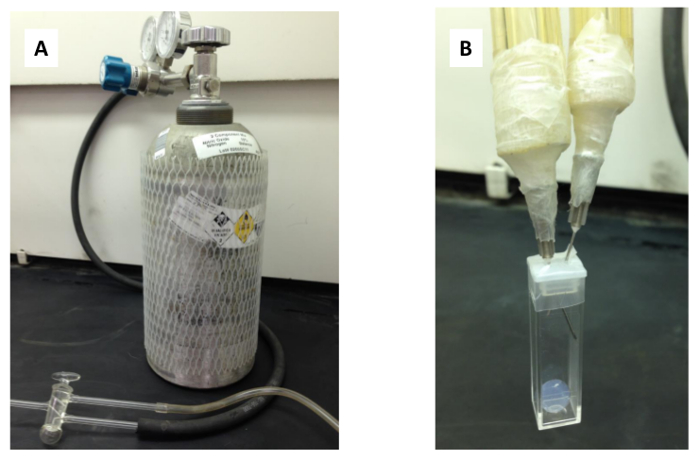 Gas cylinder setup (A) and liquid flow experiment (B) for gas-liquid exchange study.