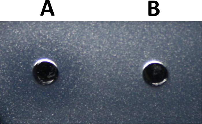 static equilibrium diagram, comparison of supports A and B, stress distribution analysis