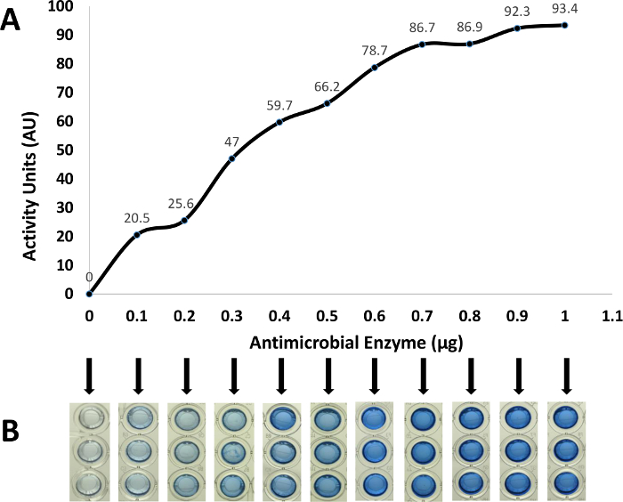 Antimicrobial enzyme assay results; activity units vs enzyme concentration chart and plate assay images.