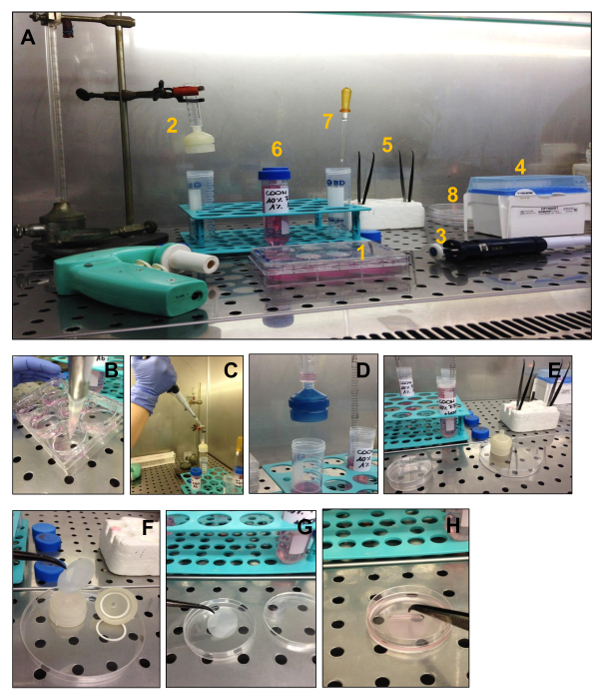 figure-results-10 Cell culture experiment demonstrating the setup for protein purification process in a laboratory.