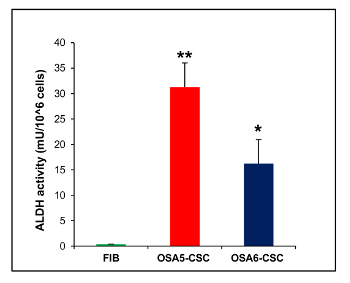 figure-results-22 Bar graph showing ALDH activity in cells; higher in OSA5-CSC than OSA6-CSC; statistical analysis.
