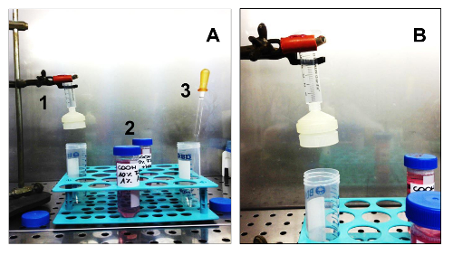 figure-results-3 Chromatography setup with syringe in test tube rack for protein purification; experimental method.