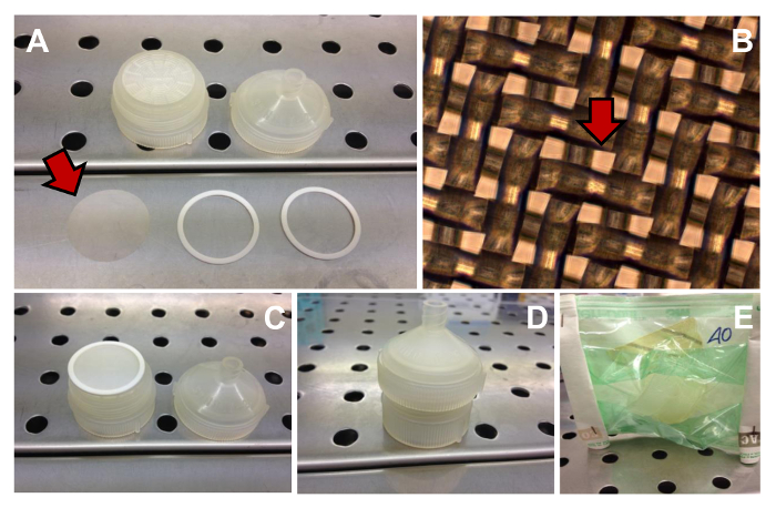 figure-results-4 Filter assembly process; components and setup for lab filtration; microscopy detail visible.