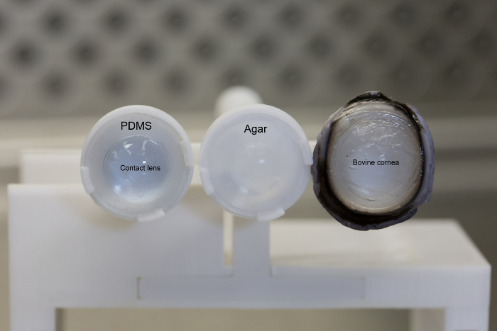 Contact lens permeability test using PDMS, agar, and bovine cornea. Diagram of experimental setup.