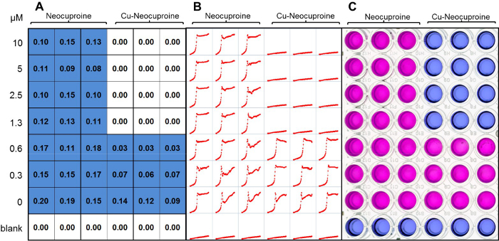Static equilibrium spreadsheet data, graph plots, microplate assay, Cu-neocuproine analysis.