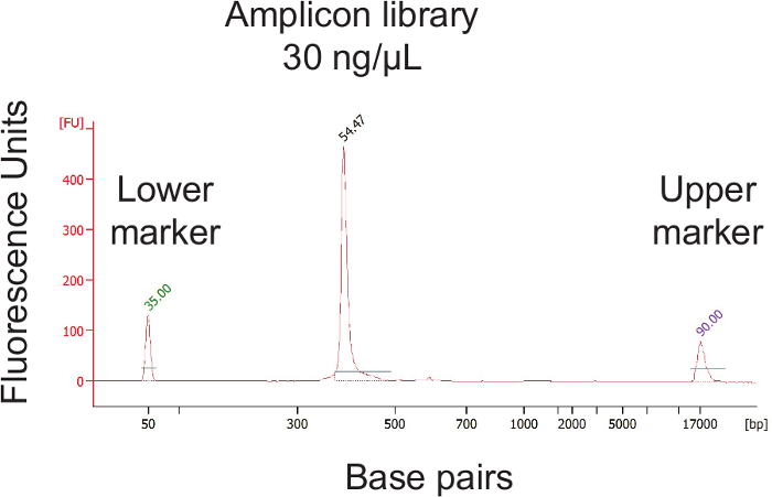 Elettroferogramma della libreria di ampliconi; fluorescenza vs. coppie di basi; Quantificazione del DNA; Marcatori.