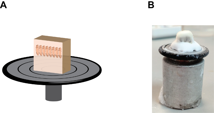 figure-results-2 Superconductivity levitation: diagram (A) and experiment result (B) of a superconductor disk.