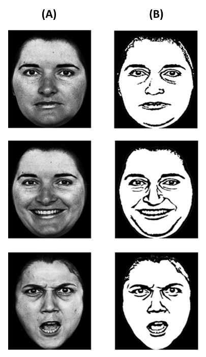 figure-protocol-1 Schematy analizy emocji twarzy porównujące zdjęcie ze szkicem; ekspresje: neutralna, radosna, gniewna.