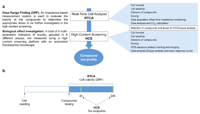 figure-results-1 Real-time cell analyzer diagram for compound toxicity profiling using RTCA and HCS methods.