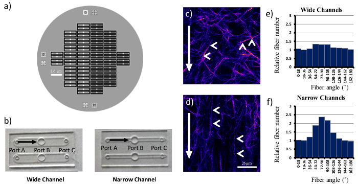 Video: Preparation of 3D Collagen Gels and Microchannels for the Study ...