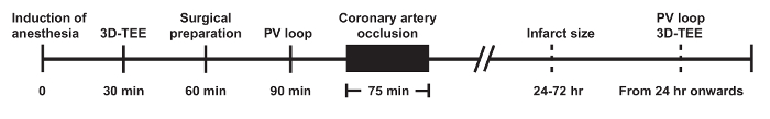 Timeline of cardiac surgery process, displays events like anesthesia, coronary artery occlusion.