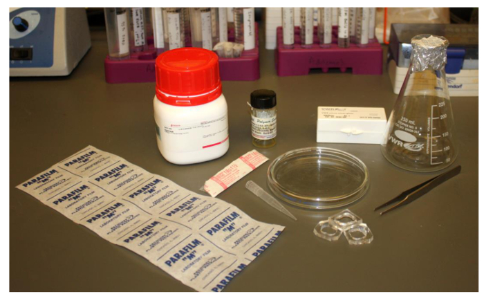 Laboratory setup for sample preparation with beaker, petri dish, pipette, and reagents.