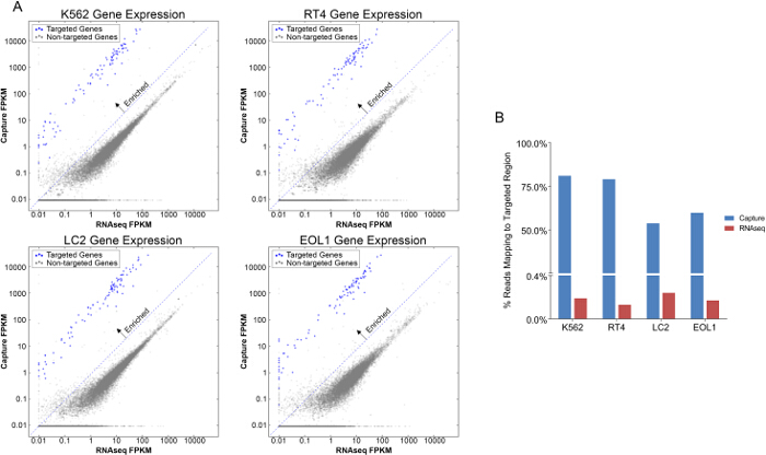 Targeted RNA Sequencing Assay to Characterize Gene Expression and ...
