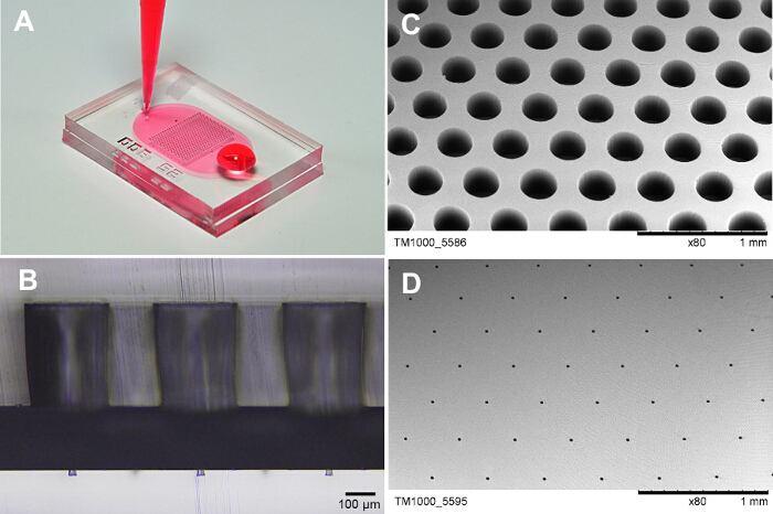 figure-results-2 Microfluidic device fabrication; pipetting, SEM images of microstructures, photolithography process.