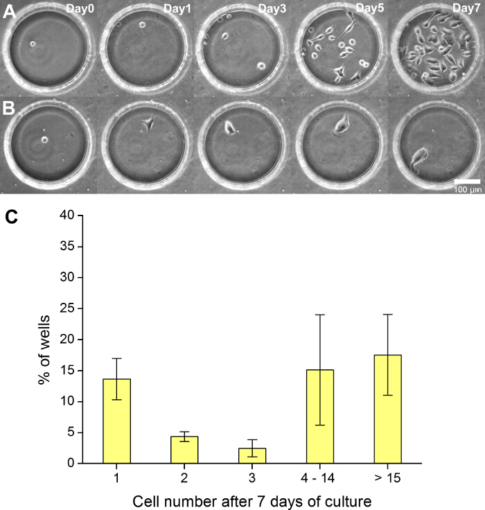 figure-results-4 Cell culture growth over 7 days, microscopy images, bar chart of cell count percentages.
